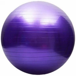 Dream Duffel Mad Ally Exercise Ball