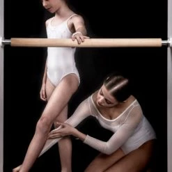 Gifts The Demi Barre