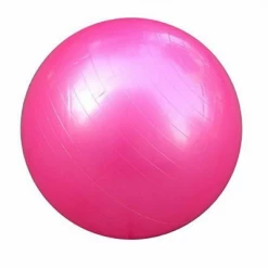 Dream Duffel Mad Ally Exercise Ball