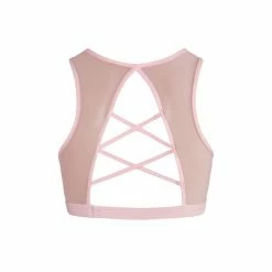Energetiks Alaina Crop Top | Candy